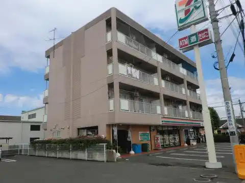 コスモス ショウナン