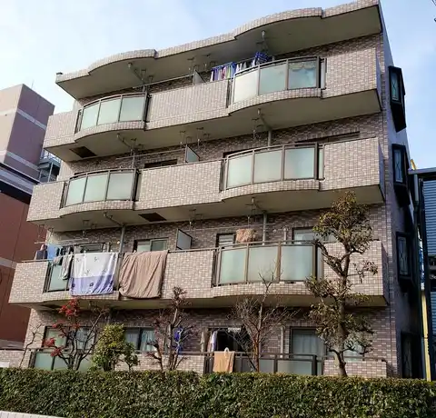 グレイスアイノカワ