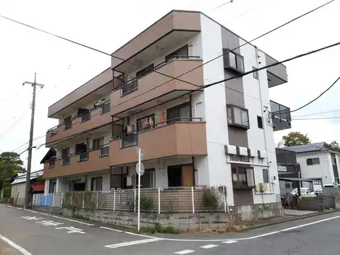 エルズコート