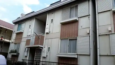 ホワイトオークD