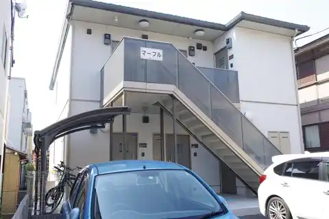 マープル