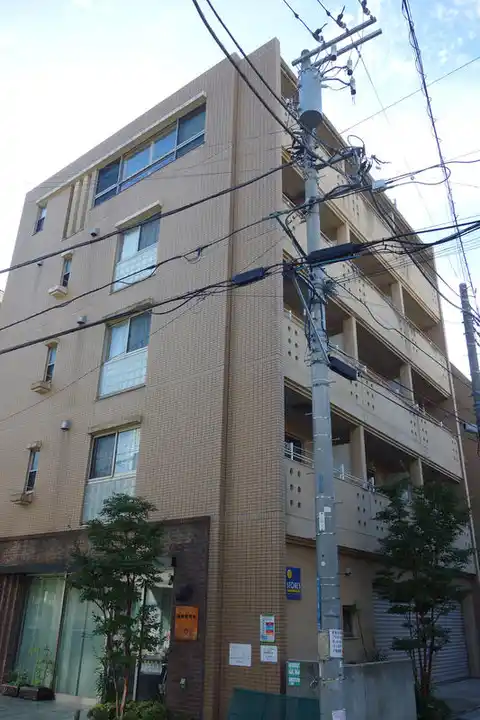 ライムコート