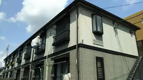 ヴェルドミール