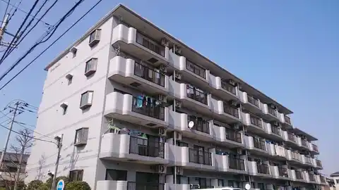 ゴールドクレスト