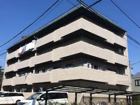 うめこみち
