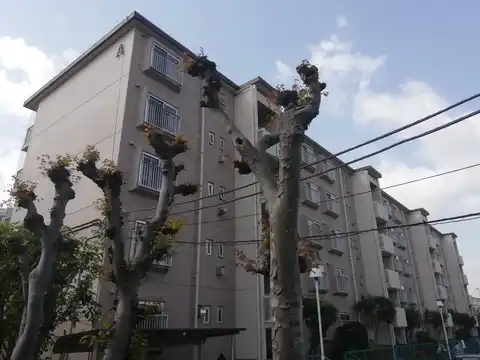 京王山田マンションA棟