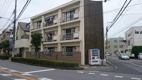 ワラビ・モーチ