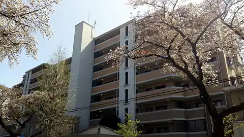 オーベル国立さくら通り