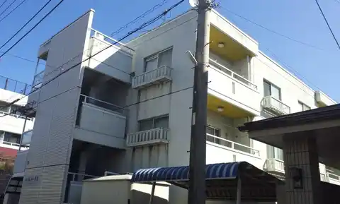 ハイムトータス