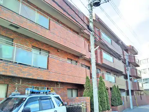 グレースコータス・ミヤザキ