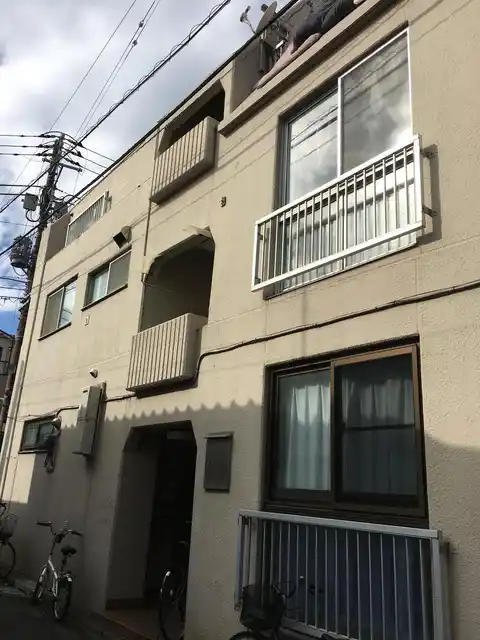 ハイパインズ