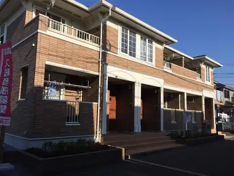 エヴァーグリーンA