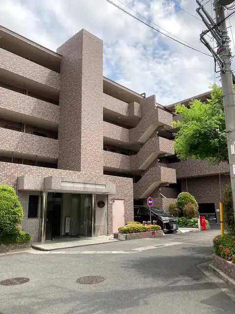ルピナス鎌倉大船