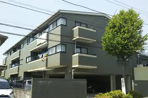 アローカリア