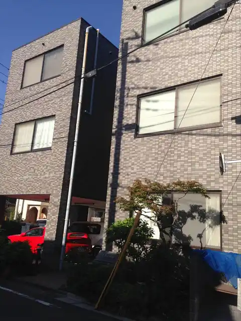 ONESTA オネスタ