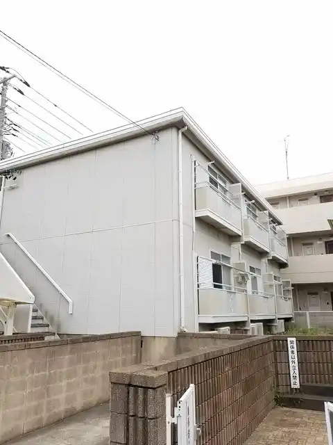 ルピナスD