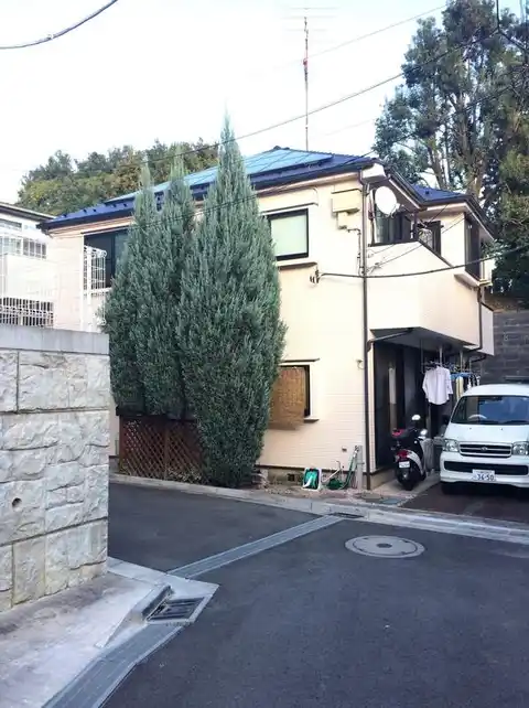 トトロの森 I
