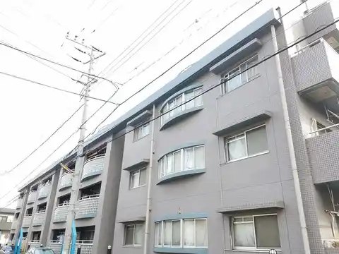 コートトライアングル