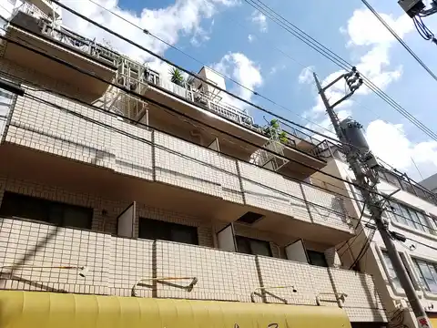 アイランドコジマ