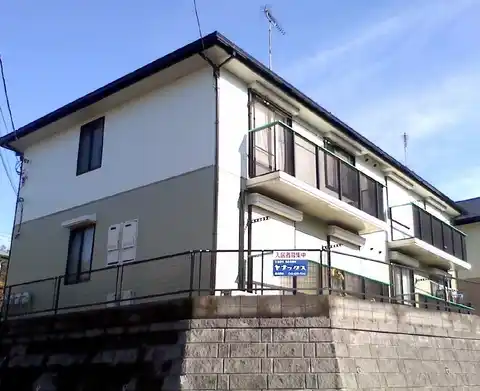 クリプトメリアA