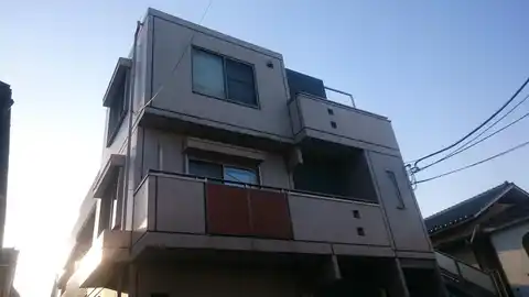 ステラアレア