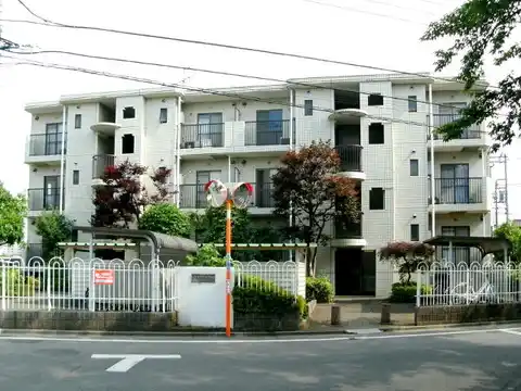 シャインブランカ