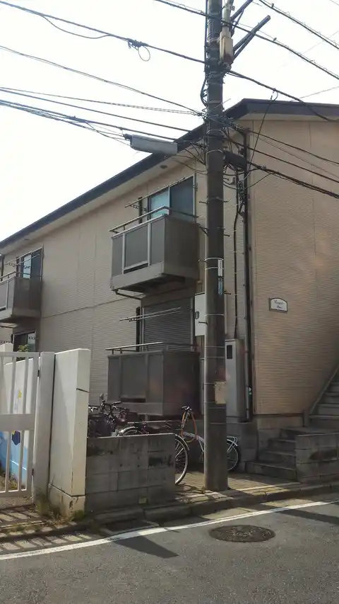 アムール PINO