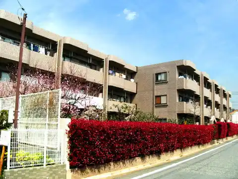 バードヒル