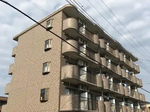 NASIC柏