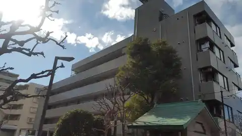 ワイティーコート