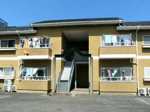 シャインブラウン