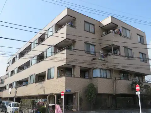 ピュアパルム