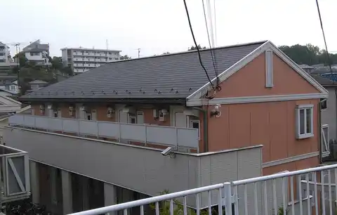 ノールドパラッツォD