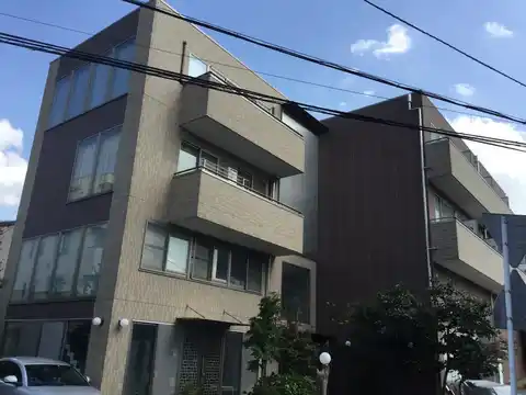 THE DEVELOPING PLACE