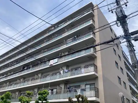 ベルドゥムール春日部東