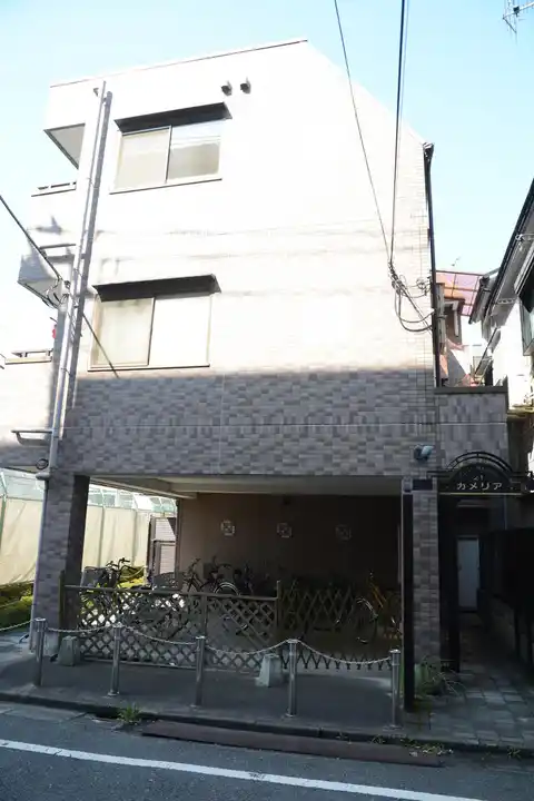 カメリア21