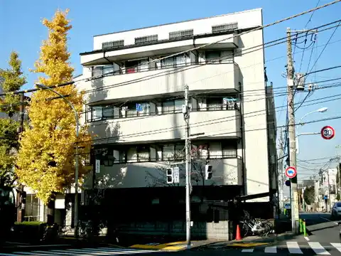 ファンライブ桃井