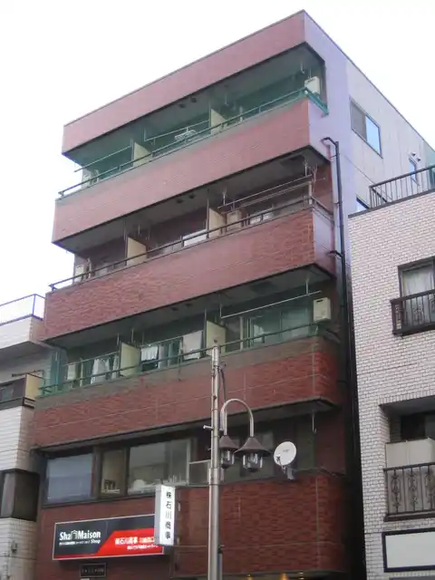 ヒルスミキ川崎