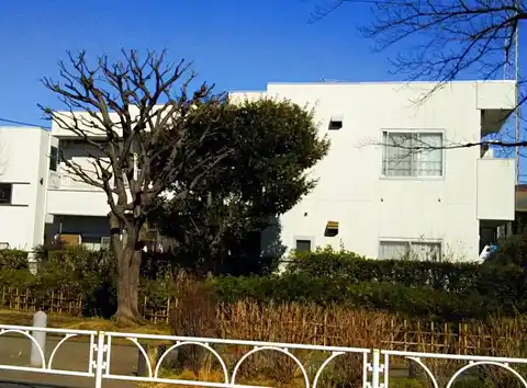 カウニスハイツ
