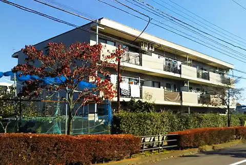 アムール