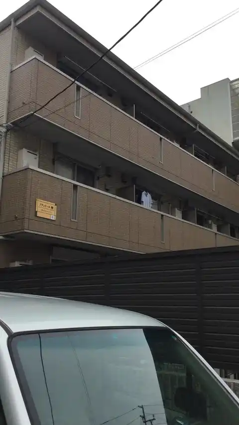 プランドール樹