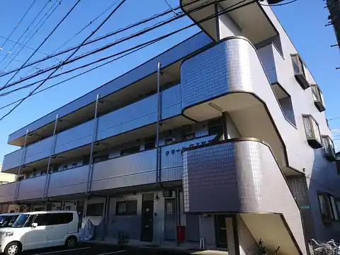 フローラキクE