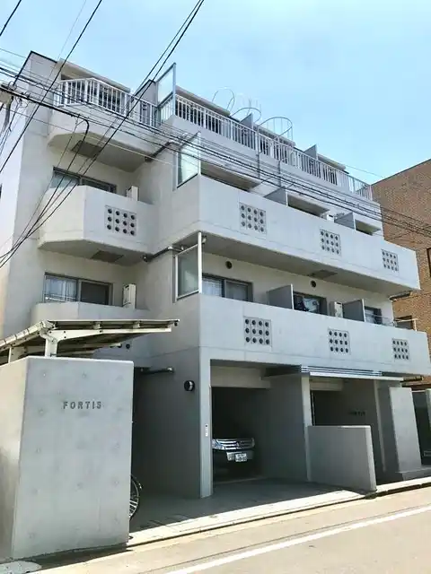 フォルティス