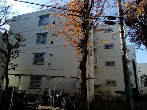 府中サンライズヒル5号棟