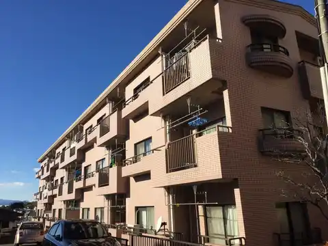 ハマハイツ