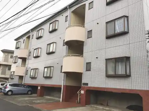 シェモア87