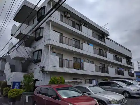 エレガンスシティー
