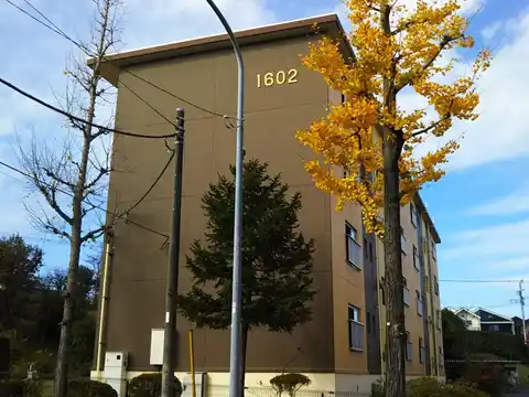 竹山団地1602号棟