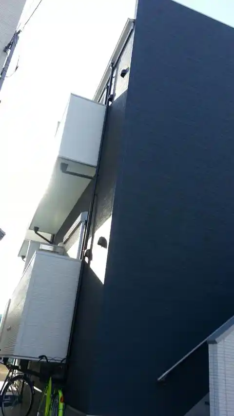 ネオレクサス