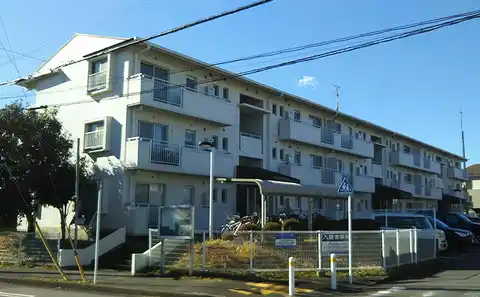 プラシード桂